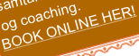 shapeimage_15_link_0